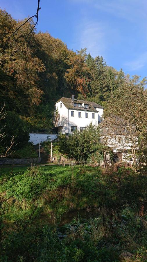 Ferienwohnung Haus Schoeneck Schönecken Extérieur photo